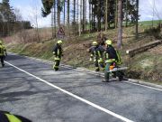 Baum über Straße